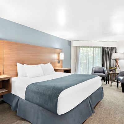 Hilyard Creekside Room, 1 King Bed Hayward Inn Promo Code