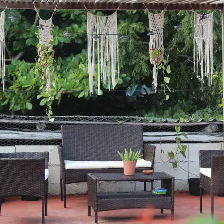 Jungla Bacalar