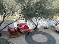 OliveTreeHostel Hotels in Ramallah