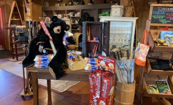 Shenandoah Wilderness Traveler - Housity