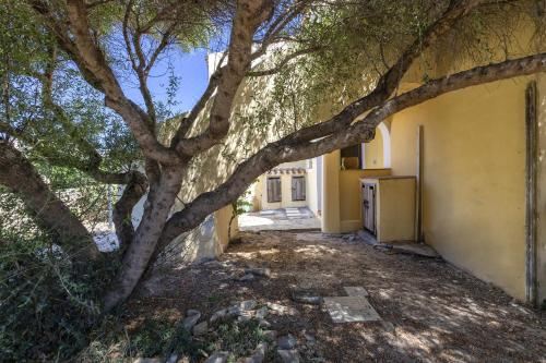 高级两卧室公寓