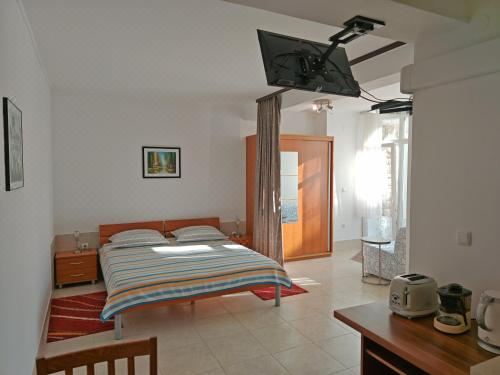 Apartment Paladin One-Bedroom Apartment