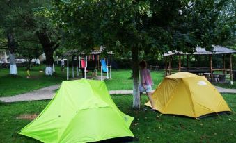 two green and yellow tents are set up in a grassy area next to a tree at Farma Sotira