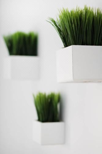 公寓 - 地面楼层