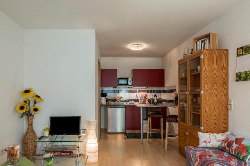 高级一卧室公寓