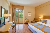 Divani Meteora Hotel