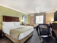 Best Western Plus Mirage Hotel  Resort Ξενοδοχεία στην πόλη High Level