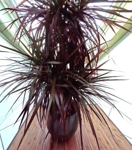 Skyview Suite Two-Bedroom Apartment