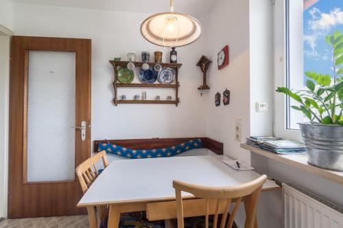 高级一卧室公寓