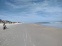 Direct Oceanfront & Private, Dog Friendly, 2Br House, July/August Availability.
