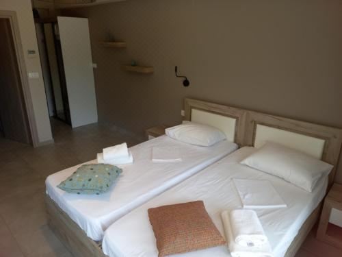 园景标准双床房