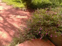 Prudence Guest House Hotel a Bondo