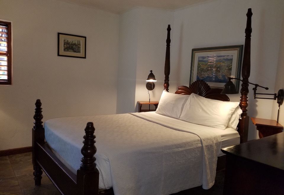 带园景的高级房