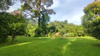 Green Forest Tangkahan Hotels in 