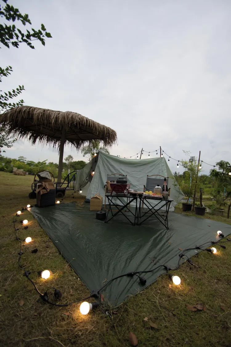 Economy Tent, Garden View
