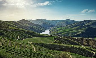 a scenic view of a river winding through a lush green valley with hills and mountains in the background at The Vintage House - Douro