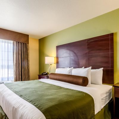 Mobility/Accessible King Guestroom with Tub and Bench Seat Non-Smoking Cobblestone Hotel & Suites - McCook Promo Code
