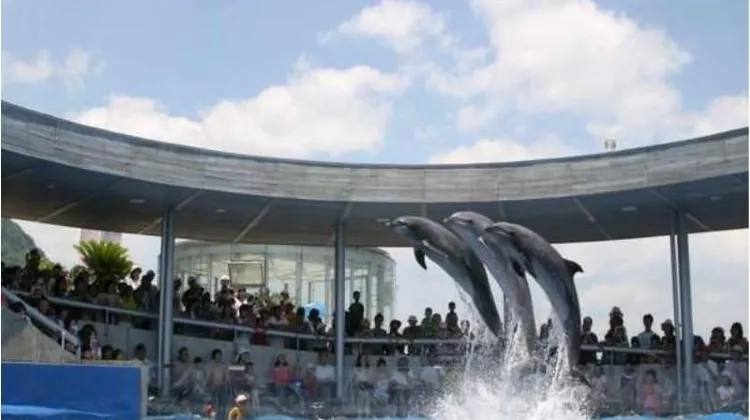 グリーンリッチホテル大分都町 施設