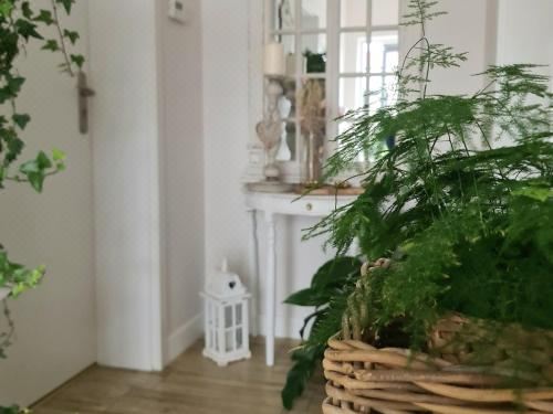 享有花园景致的公寓