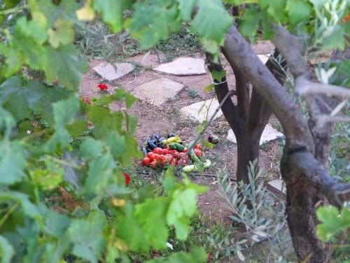 带海景的一卧室公寓