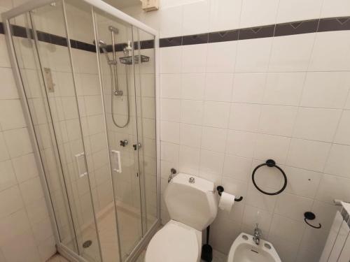 带露台一室公寓