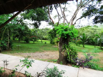 Crystal Paradise Resort Hotels in 