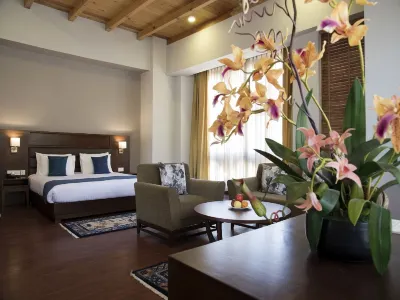 CityHotel, Thimphu Hotel a 