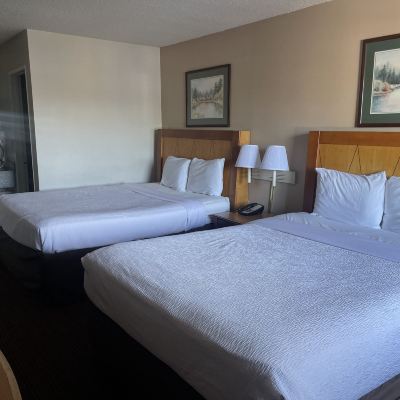 Comfort Room, 2 Queen Beds Skyway Inn - Seatac Promo Code