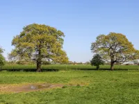 2 Pines Farm Cottages Hotels in Tadcaster