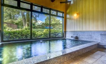 a large indoor hot tub surrounded by windows , allowing natural light to fill the space at Hotel Hakuba