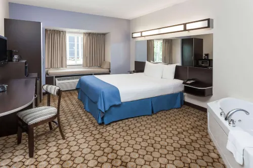 Microtel Inn & Suites by Wyndham Elkhart