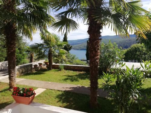 公寓 - 地面楼层