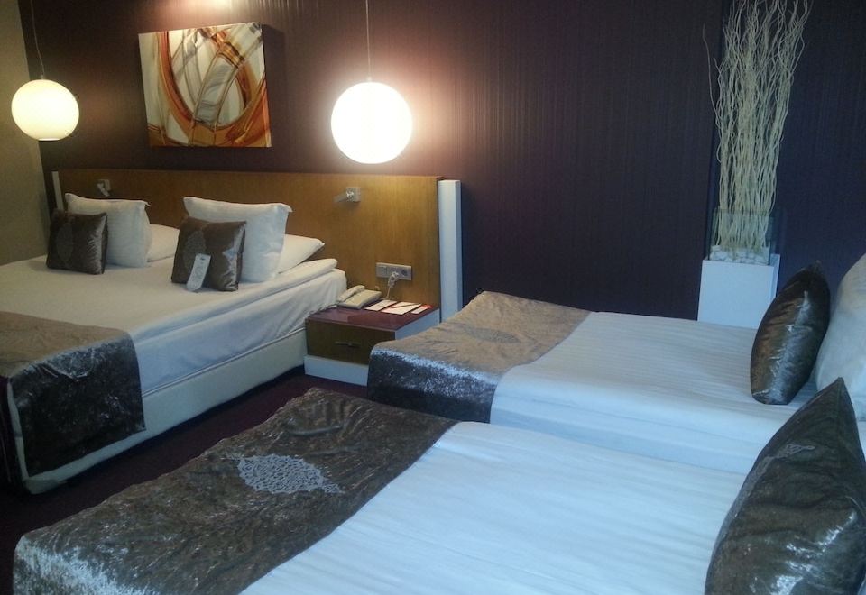 客房，雙床和雙人床，禁煙（Aile Odasi）