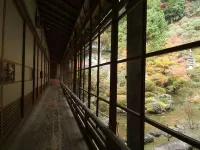 遍照光院