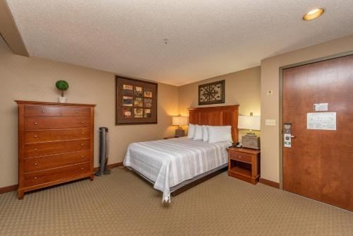 一卧室一室公寓