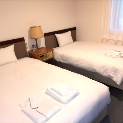 ステューディオ ツイン ルーム 16 から 20 平方メートル ホテルグリーンセレク クーポン