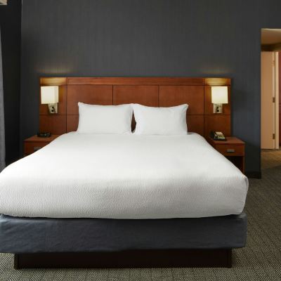 特大床套房配梳化床 夏洛茨維爾萬怡酒店 - 大學醫學中心優惠