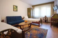 Pensiunea Sibiel Hotels in 