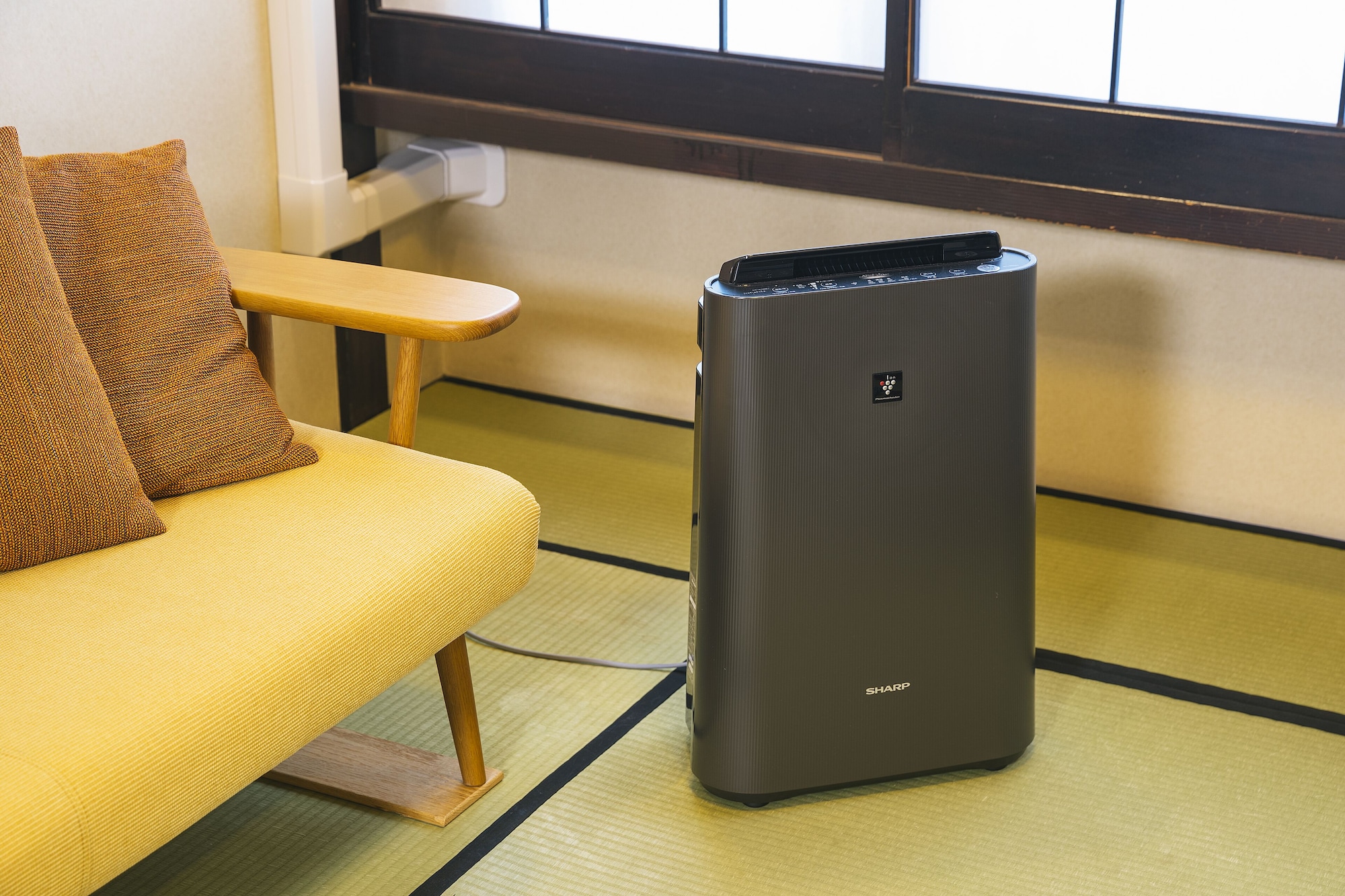 标准房，禁烟24平方米（日式风格，私人浴室）