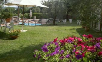 Hotel Umbria - Housity