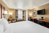 Comfort Inn & Suites Salinas