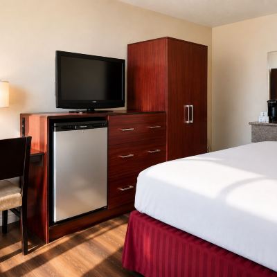 Accessible Room, 1 Queen Bed, Non Smoking, Accessible Kings Inn Anaheim at The Park & Convention Center Promo Code