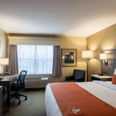 Standard King Room - Non-Smoking Amsterdam Inn & Suites Moncton Promo Code