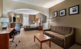 Comfort Inn & Suites Sacramento – University Area