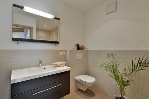 Appartementhaus Tanja One-Bedroom Apartment