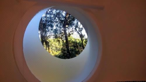 冰屋 - 带花园景观