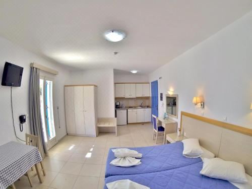 豪华公寓 - 带露台