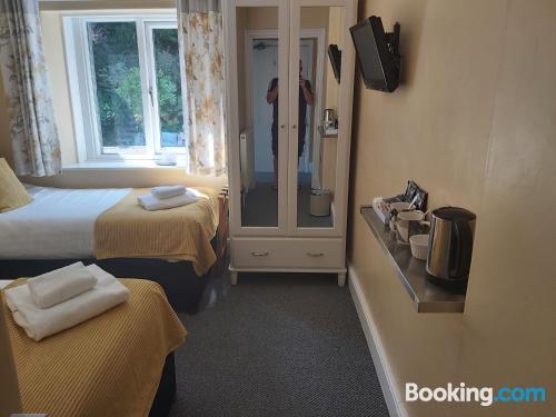 园景标准双床房