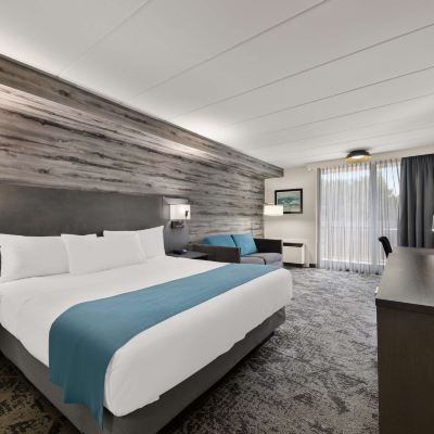 特大床房（帶梳化床） 北多倫多派克威貝斯特韋斯特飯店優惠