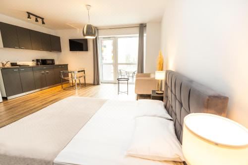 Walter Studio Sinaia One-Bedroom Apartment